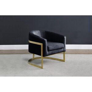 HX10 ACCENT CHAIR Blue, Black, Cream, Grey or Pink Velvet Accent Chair with Gold Legs $429.90